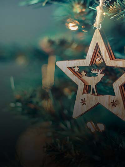 Banner-christmas-adverts