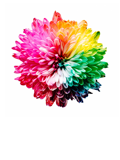 colour-in-branding-card